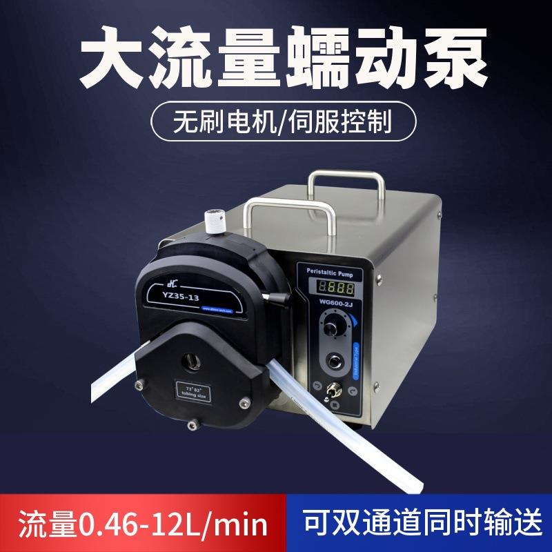 工业型蠕动泵WG600-2J高精度免维护流量转速模式制药工业生产泵