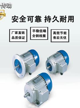 进口品质意大利carpanelli刹车电机