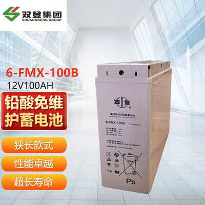 双登蓄电池 6-FMX-100B 免维护狭长型12V100AH 通信基站48V电池组
