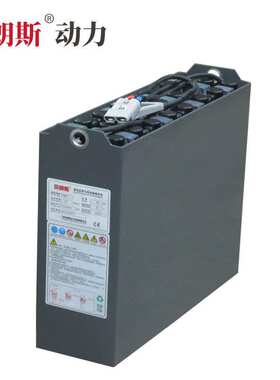 火炬牌托盘车蓄电池12-3DB210 24V210Ah铅酸TORCH叉车电瓶