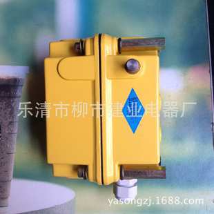 DXZ多功能行程限位器1 274 210 960