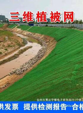 三维植被网绿化植草网边坡固土三维土工网垫护坡生态绿色植被网无