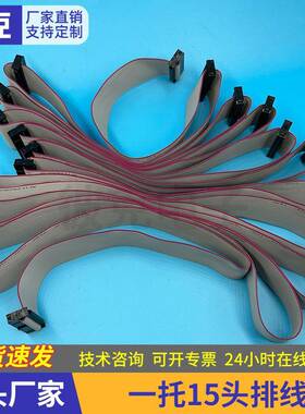 一托15头排线间距2.54MMFC灰排线64P双头电缆AVR连接线扁平排线