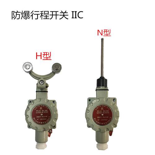防爆行程开关滚轮可调臂柱塞式防爆开关BLX5-ZBLNH型机床行车限位