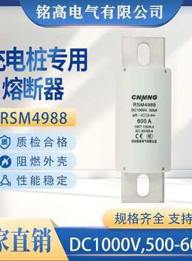 DC1000V充电桩熔断器RSM4988新能源汽车熔断器（RS309）(HEV)