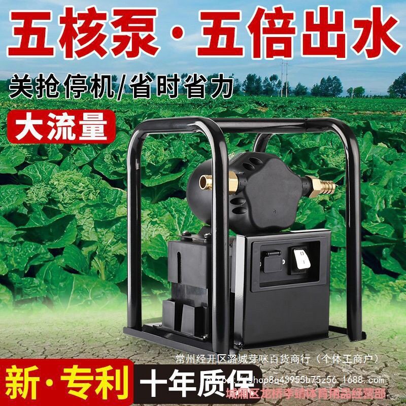 大功率充电浇菜水泵户外农用灌溉抽水机12V高压水泵大流量抽水泵