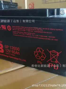 CSB蓄电池GP121000计算机备用电源12V100AH直流屏航空铁路UPS电源