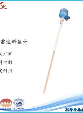 厂家直供亚正牌射频电容物位计YZDR-P000-300