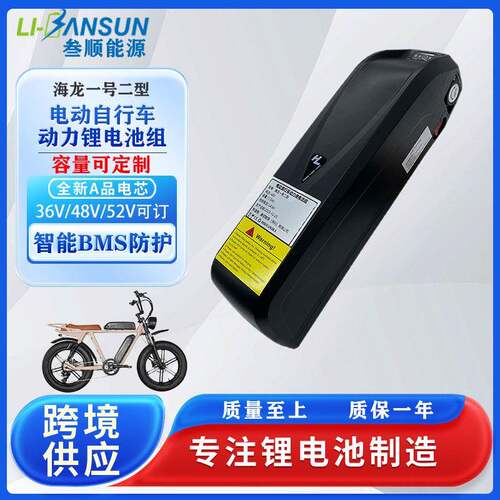 48v13ah20ah海龙36v电动自行车山地车52v电池带充电器长续航