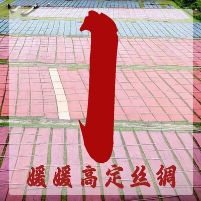 1号定向链接真丝面料 不支持七天无理由退货 介意勿拍