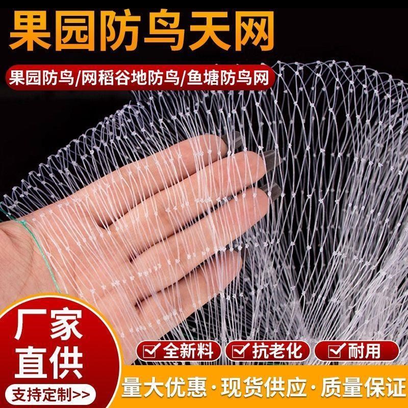 防止鸟吃果子的网樱桃葡萄农用家用天网果树防鸟网防鸟围栏户外