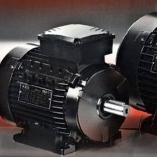 供应德国AEG电机AM100LAA8AM100LBA8现货