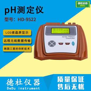 在线PH计 pH测定仪 9522型