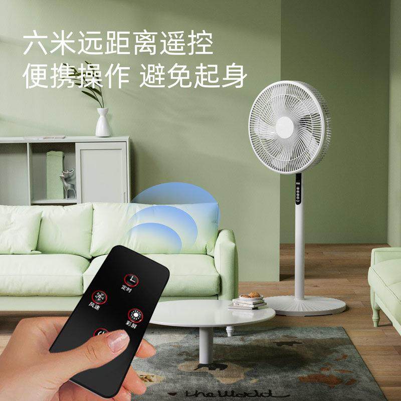 现货直销电风扇家用摇头静音遥控落地扇定时立式智能对流循环风扇