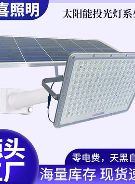 2024压铸铝太阳能带臂户外古亭荷塘投光灯大功率庭院灯IP67防水