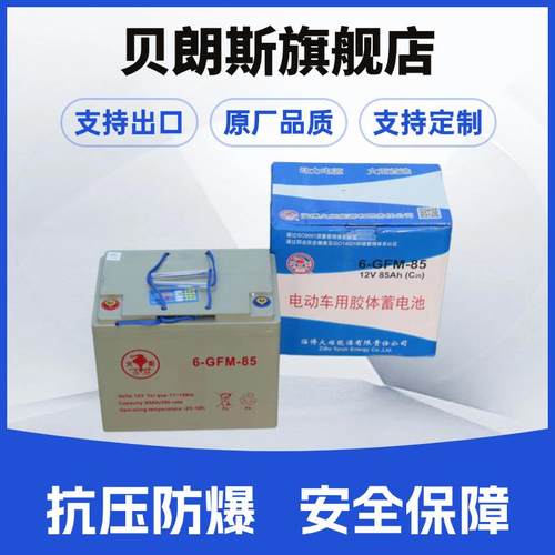6-GFM-85火炬叉车电池12V85Ah中力小金刚托盘车电池