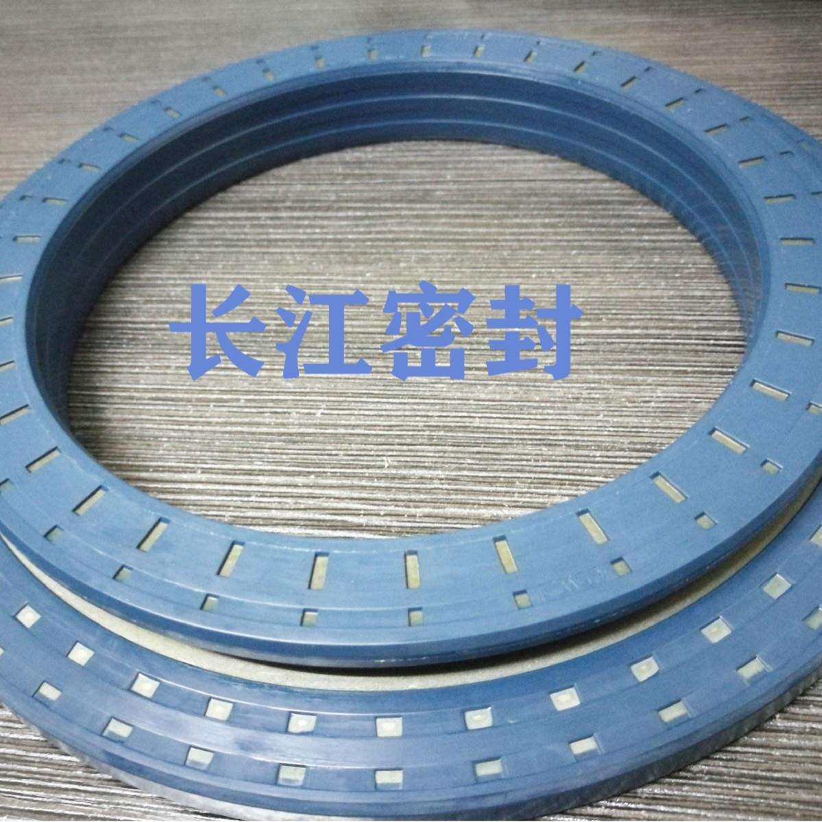 德国进口骨架油封CFWMSS7RWDRKOMBI120-180-12/24