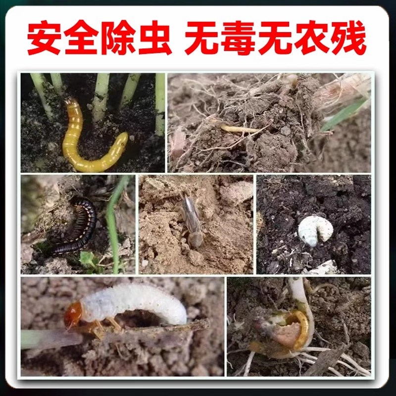 德国农业级无毒无农残撒施型防虫清菌颗粒增肥活土壮根果蔬通用型