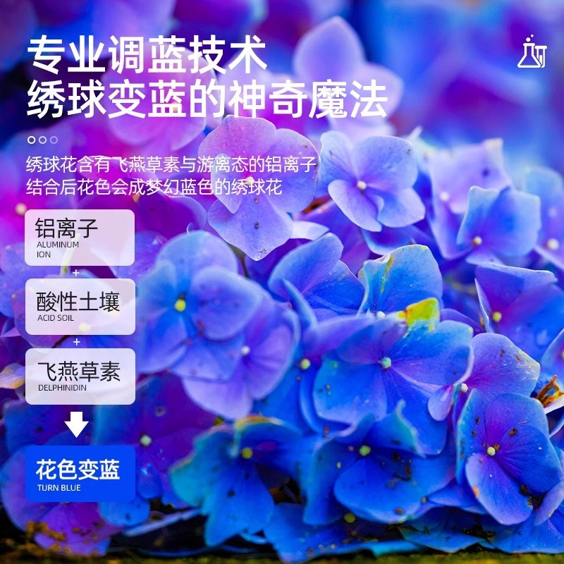绣球调蓝剂硫酸铝调色花肥料常用肥变色上色调色绣球专用调蓝剂