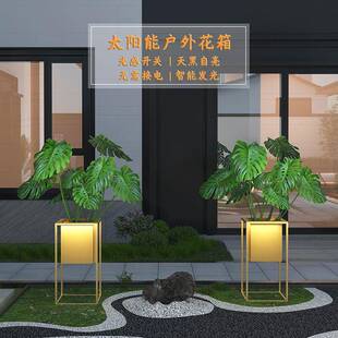 轻奢创意花盆花架北欧简约客厅网红落地大室内个性装饰带灯花盆架