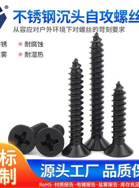 KA2.6x6→2.6x14黑色不锈钢沉头螺丝GB846高盐雾耐腐蚀防锈钉