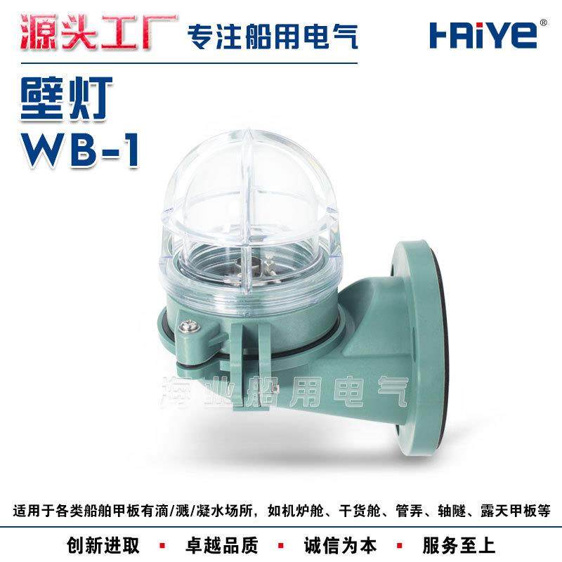 船用防水白炽壁灯WB-1合成树脂24V15W壁式安装防水灯IP56792067