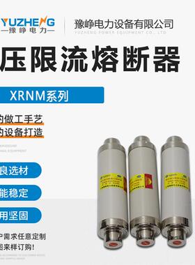 XRNM1WFNHO-7.2/12KV125A150A高压高分断能力熔断器插入式