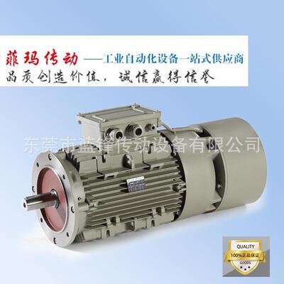 意大利ELECTROADDATIEC60034-20-电机带刹车功率可选择机械设备