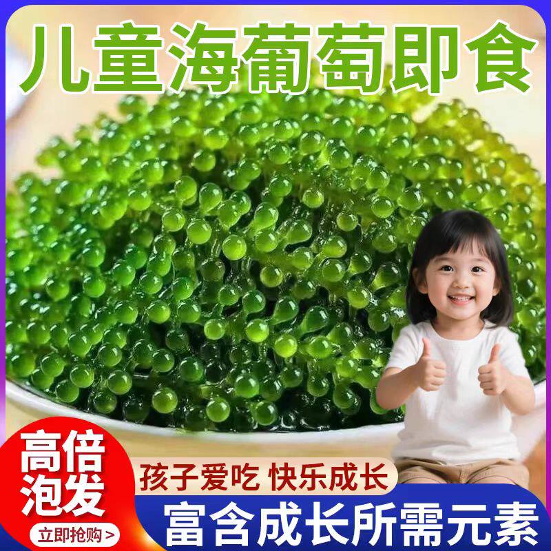 儿童海葡萄绿色鱼子酱即食泡发小孩吃的新鲜盐渍海葡萄官方旗舰店