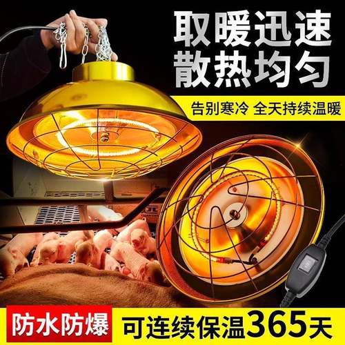 保温灯养殖场卤素猪仔仔猪灯罩小猪暖灯取暖灯保温灯泡加热灯其他