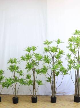 仿真绿植百合竹盆栽室内假绿植大型盆景落地假树装饰仿真百合竹