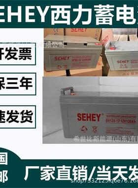 SEHEY西力蓄电池12V38AH12V6H12V100AH12V120AH12V200AH