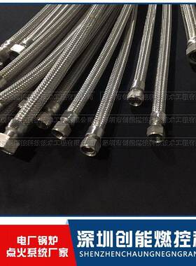 油枪金属软管|XYQ-11DN25L=2500mm|