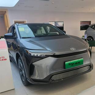 丰田bz4x中网外观改装配件前脸保险杠防虫网专用装饰亮条汽车用品