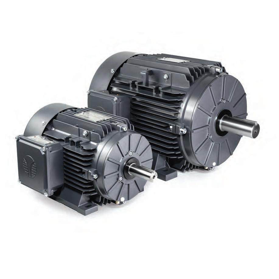TECHTOP特波三相铝壳异步电机/NEMA标准/IEC2/IEC3