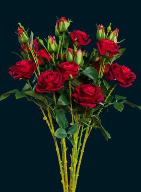 。手感保湿玫瑰花假花花摆设客厅绢花摆件塑料花餐桌花摆