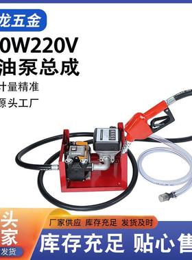 供应抽油泵总成550W抽水机配置自封枪抽油泵220V自吸水泵