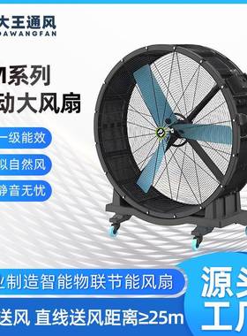 大王通风移动大风扇厂房车间工业扇送风超25m免维护电机