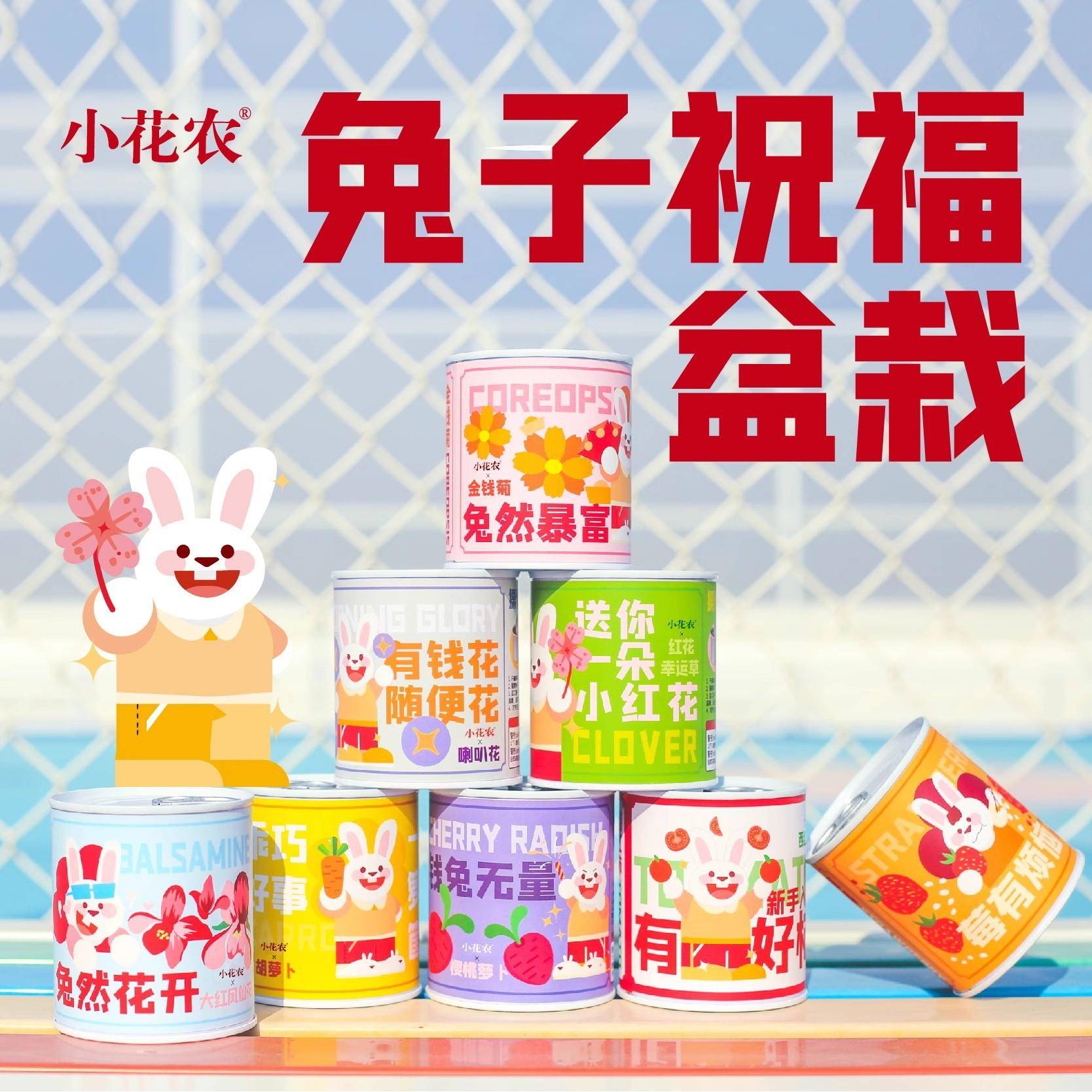 花农儿童阳光种植房小学生种菜植物生长观察盒箱窗玩具科学小实验