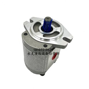 FRR 13RR12163A FPR FR7R14液压10 FRHG125齿轮油泵