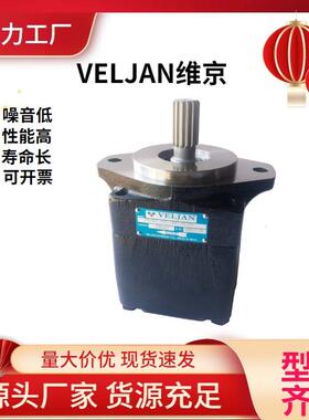 VELJAN维京高压双联电动泵VT6DM-014-1R00-B1液压油泵/叶片泵