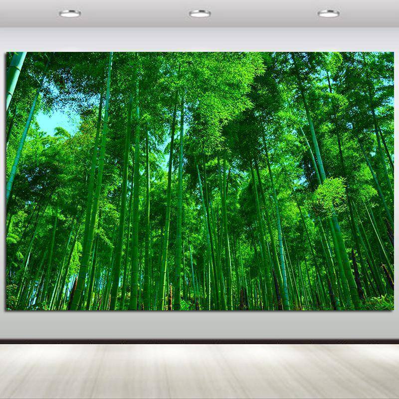 【折扣价】绿色竹子竹林护眼装饰画玄关房间过道走廊贴画自然风景