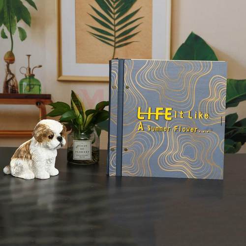 6寸相册插袋影集宝宝相册木质相册制作可增加内页大容量相册现货