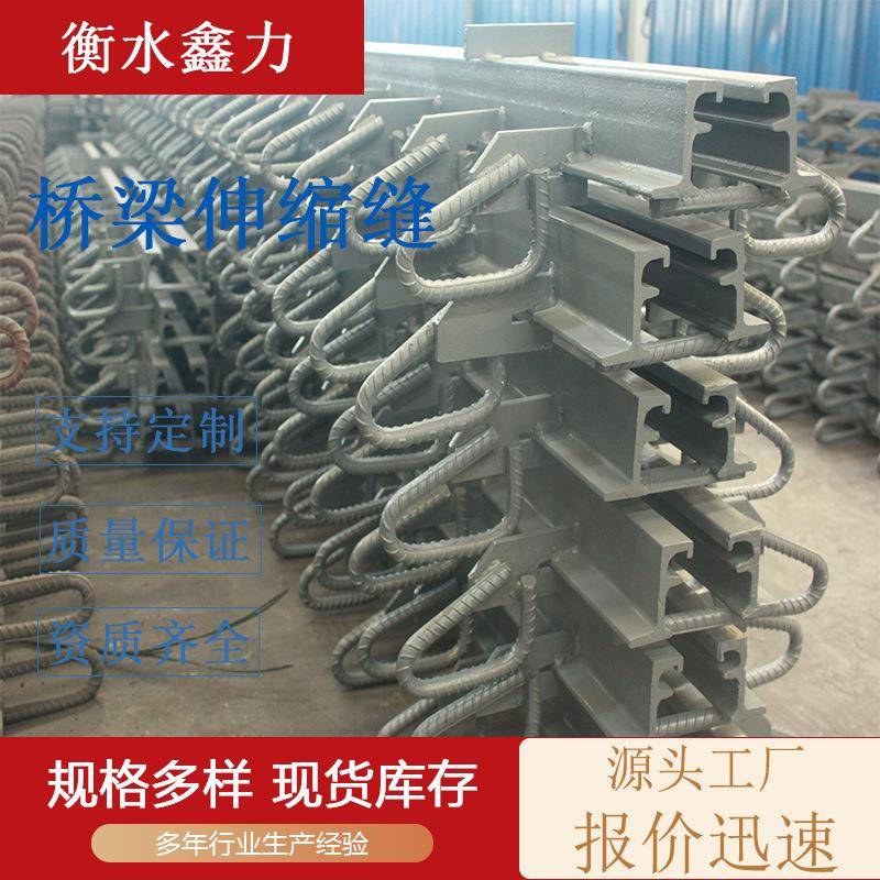 伸缩缝公路桥梁装置人行道毛勒异型钢模数式伸缩装置梳齿板伸缩缝