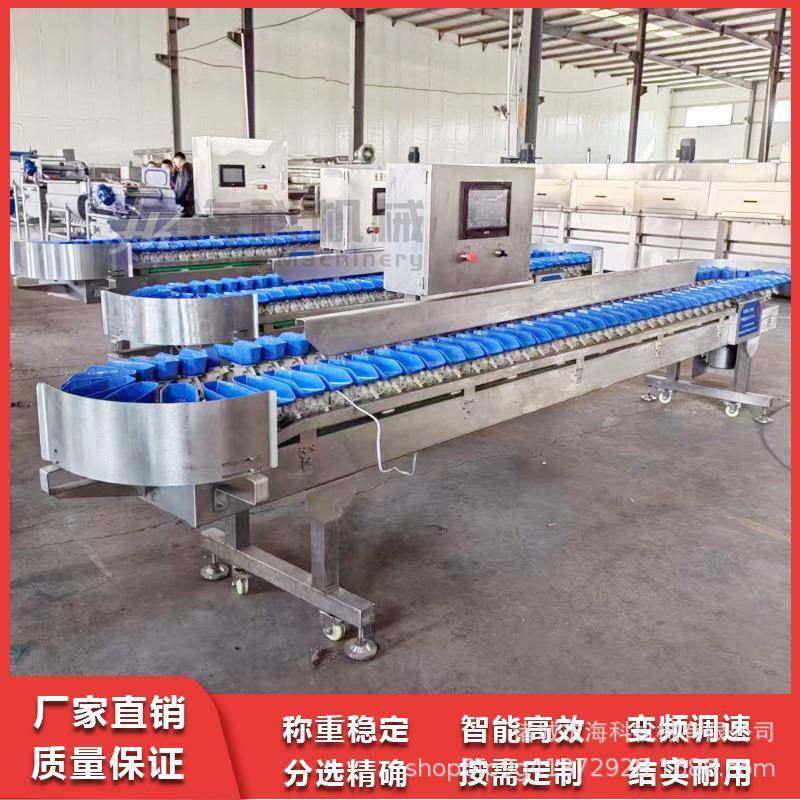 自动称重重量分选机生蚝海参鲍鱼龙虾料盒分级机移动式电子分拣机,五金/工具,其他包装设备,淘宝优惠券,粉丝福利购,淘宝优惠卷