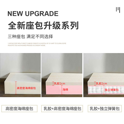 新款科技布沙发客厅小户型简约现代家用北欧网红贵妃乳胶布艺沙发