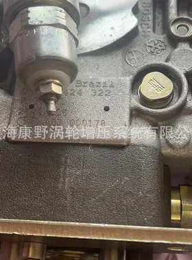 喷油泵0460424322 0460424323和0460424317和0460424303 2644N208