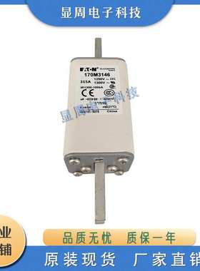 熔断器170M3144 3145 3146 3147 3148 3158 3159 3160 3161 3162