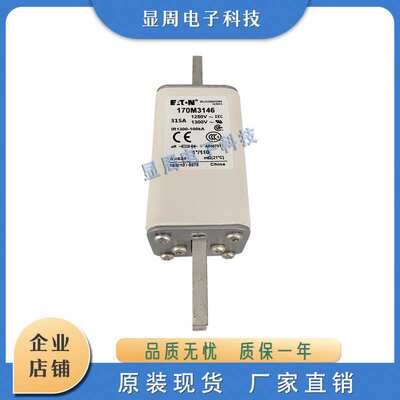 熔断器170M3144 3145 3146 3147 3148 3158 3159 3160 3161 3162