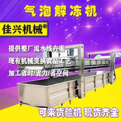 佳兴龙门提升气泡水果清洗机大型果蔬清洗设备商用肉制品解冻